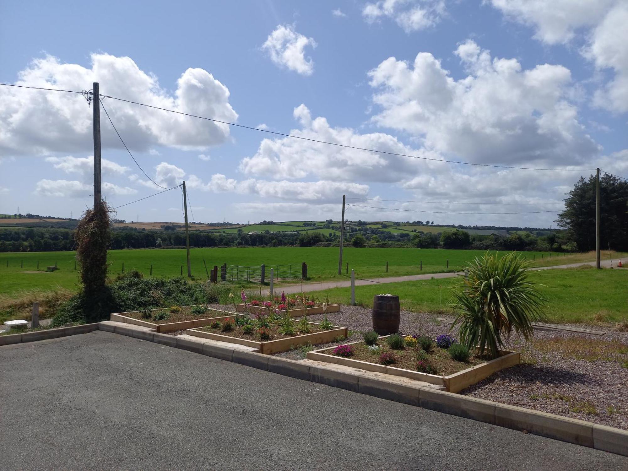 Teach Na Coille B&B Midleton Eksteriør bilde