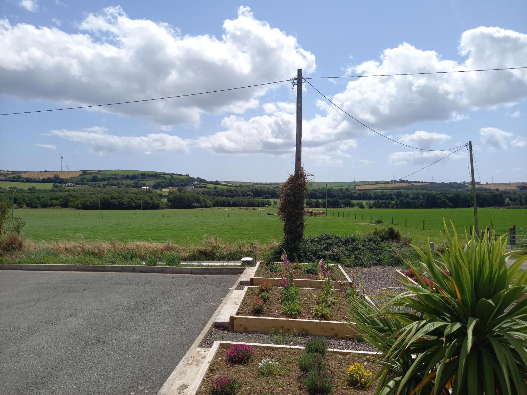 Teach Na Coille B&B Midleton Eksteriør bilde
