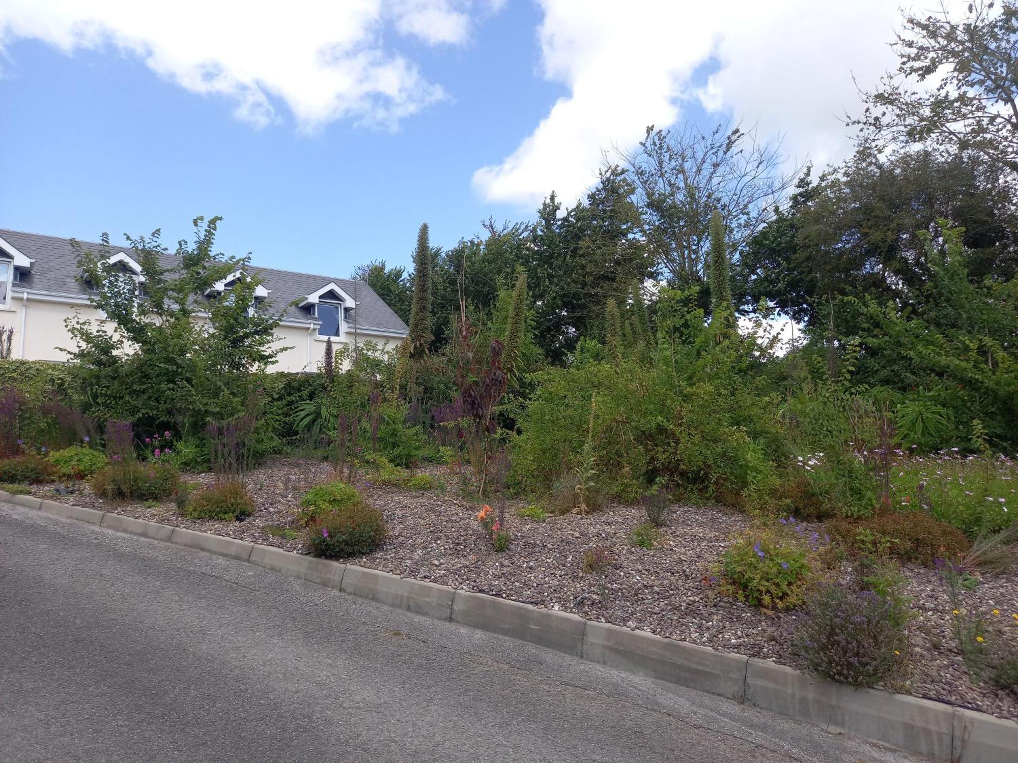 Teach Na Coille B&B Midleton Eksteriør bilde